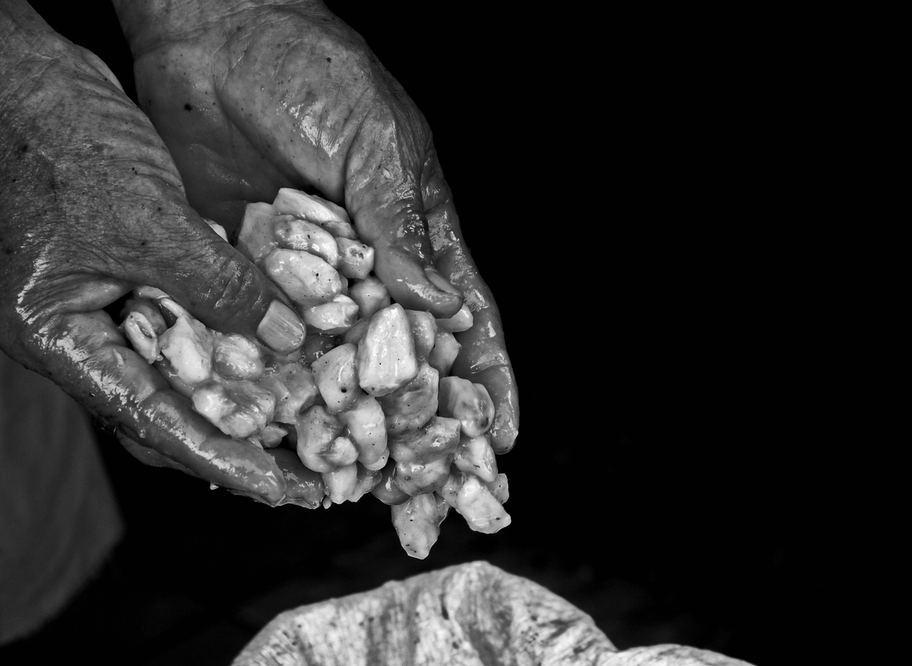 Equacacao - Mains déposant des fèves fraiches de cacao