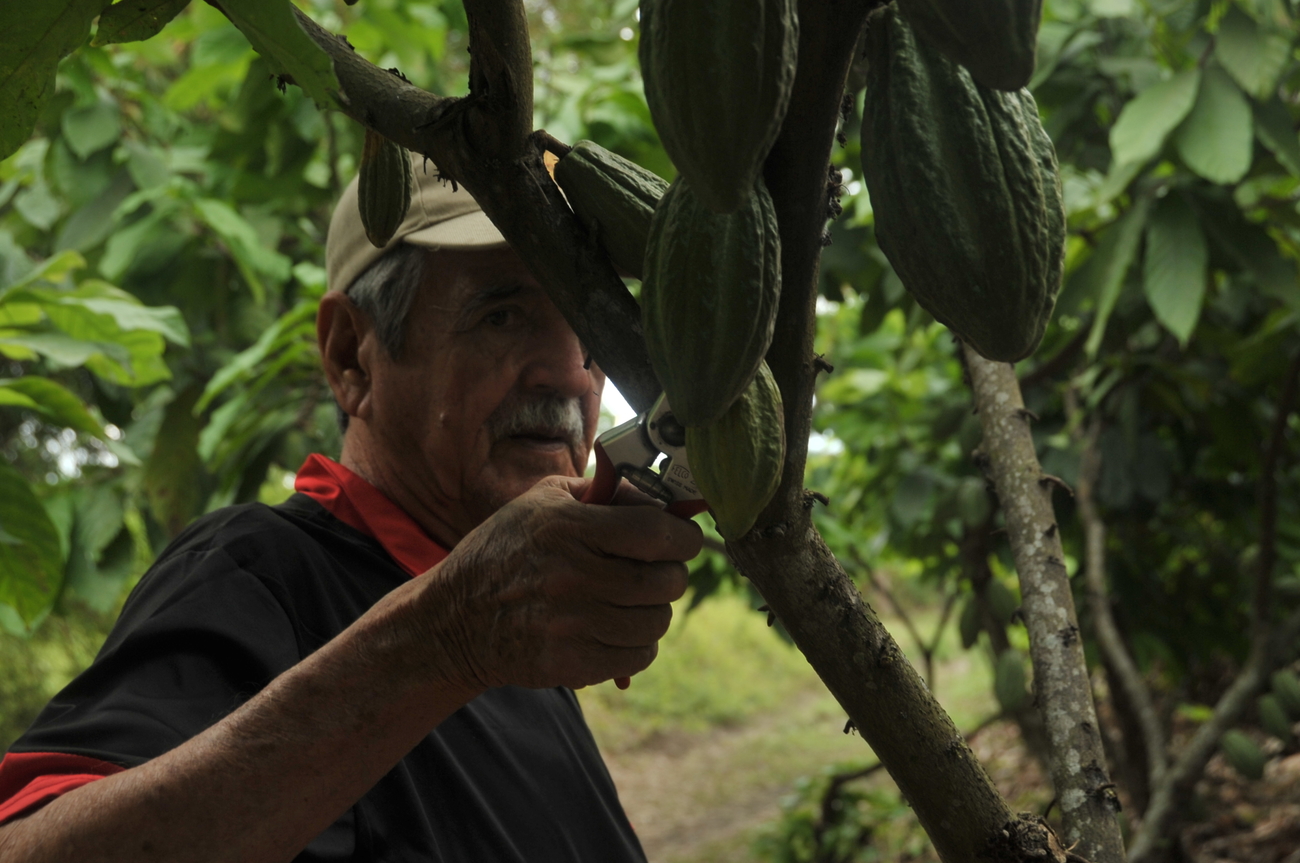 Equacacao - chocolat - cacao - Producteur indépendant